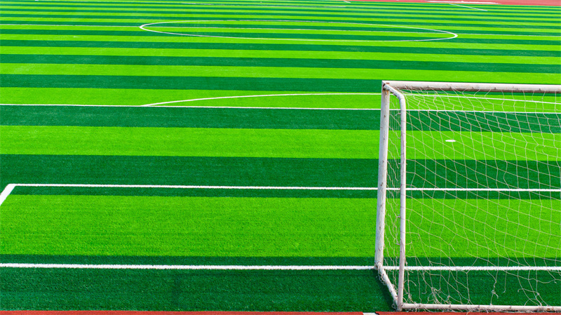 1724902632896179.jpg DJI_20240823095821_0056_D.jpg