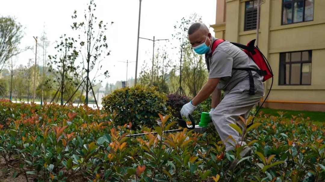 1634538770824747.jpg 1634538770824747.jpg